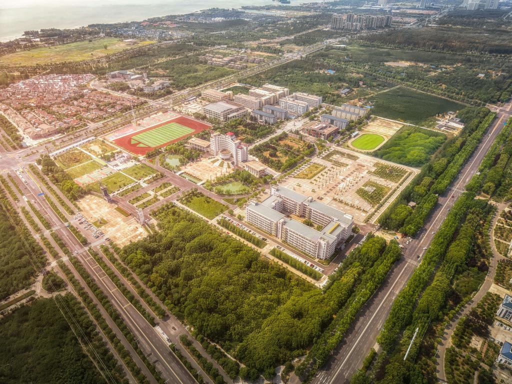 2024奥门原料免费资料大全
